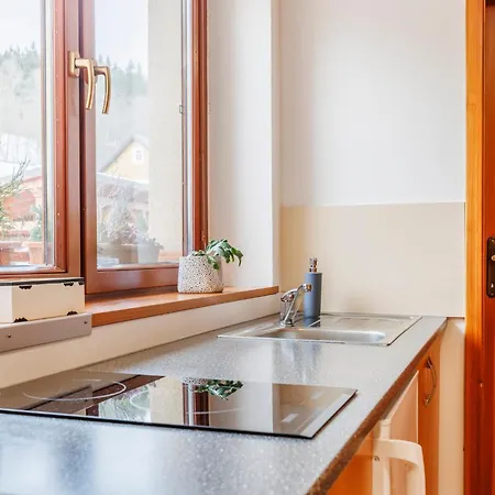 Novakovi Apartment *