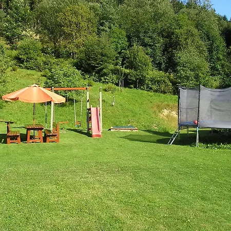 Novakovi *