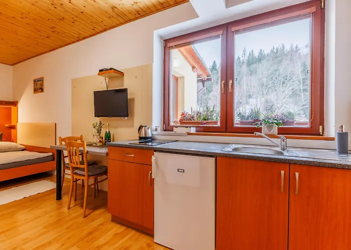 Novakovi Apartment Dolní Morava
