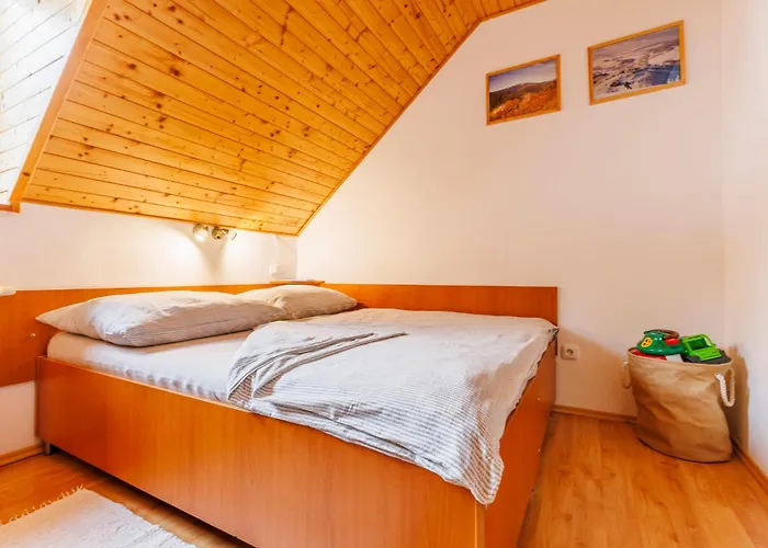 Lägenhet Novakovi Dolní Morava