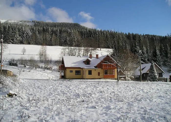 Novakovi